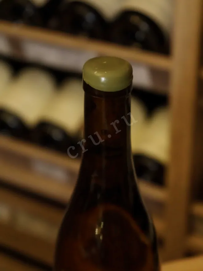 Пробка Saint-Aubin Premier Cru Domaine Derain Le Murgers de Dents de Chien 2019 0.75 л
