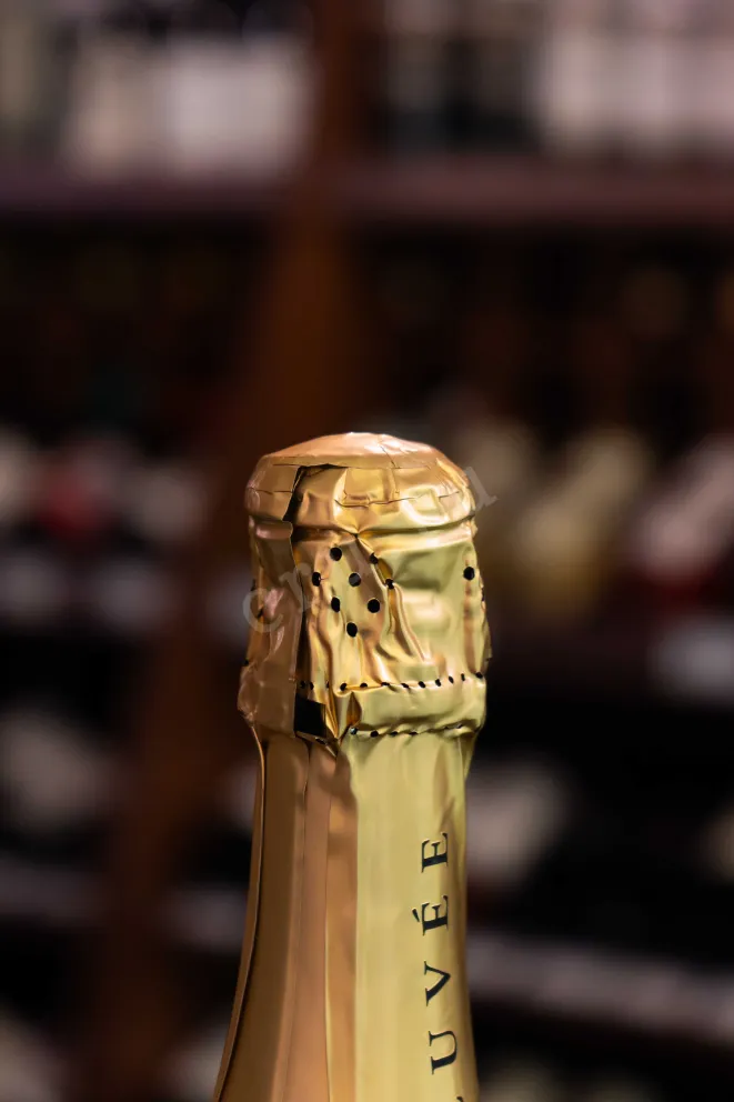 Пробка Gaetano Spumante Brut 2024 0.75 л