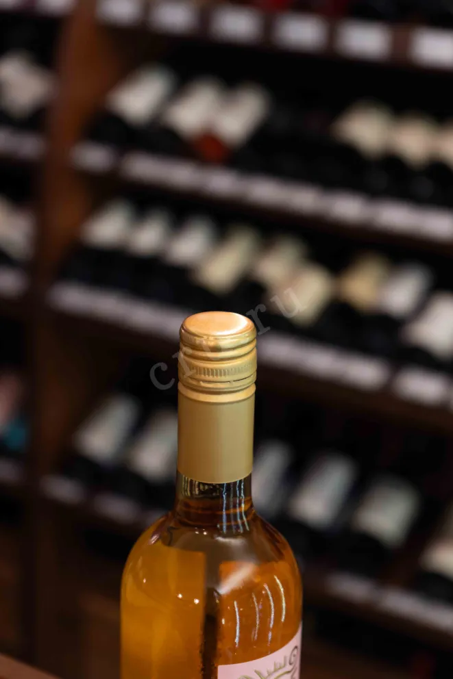 Пробка Espiritu De Chile Rose 2023 0.75 л