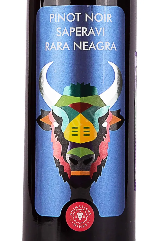 Этикетка Castel Mimi Pinot Noir Saperavi Rara Neagra 2020 0.75 л