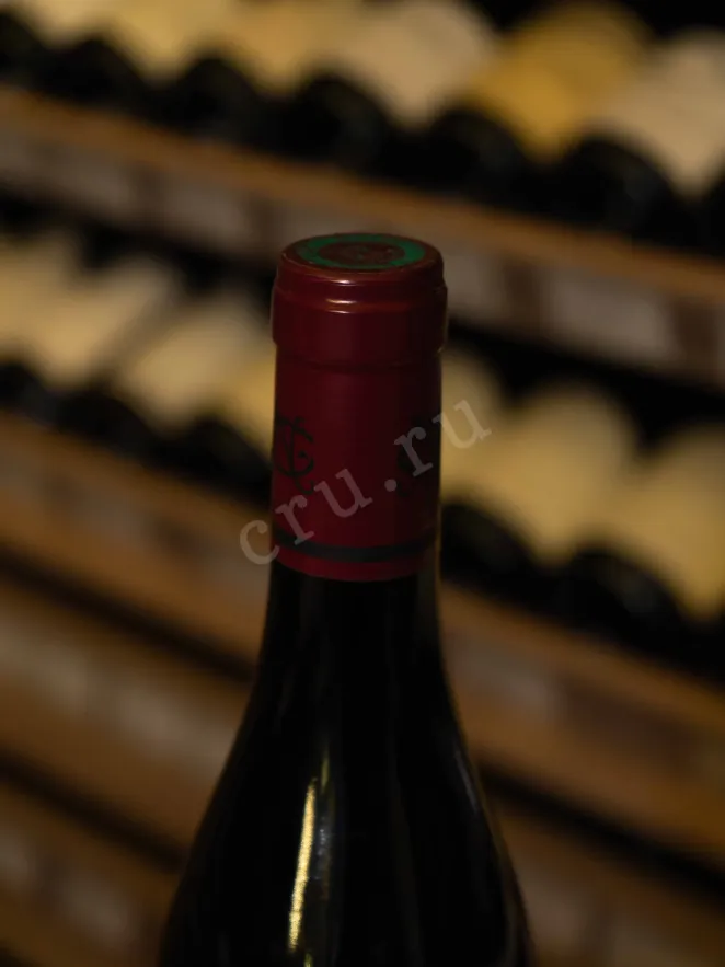 Пробка Domaine Georges Noellat Nuits-Saint-Georges AOC 2021 0.75 л