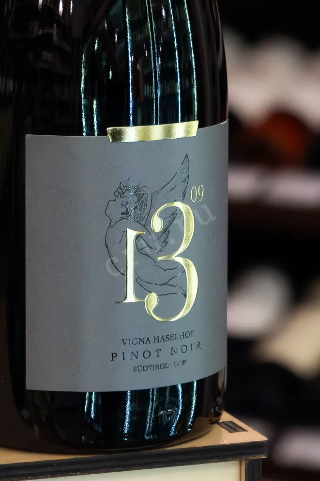 В магазине Крю Профи Josef Brigl 1309 Vigna Haselhof Pinot Noir Riserva 2020 0.75 л