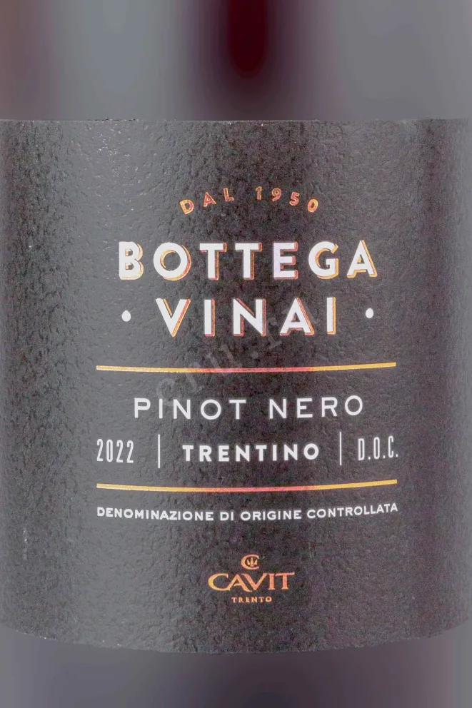Этикетка Bottega Vinai Pinot Nero 2022 0.75 л
