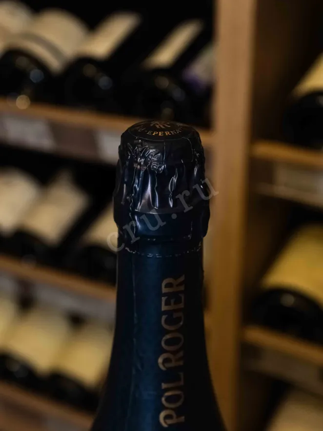 Шампанское Pol Roger Cuvee Sir Winston Churchill in gift box 2009 3 л