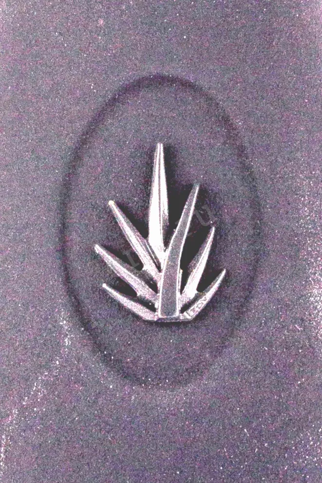 Этикетка Clase Azul Mezcal Durango in gift box 0.7 л