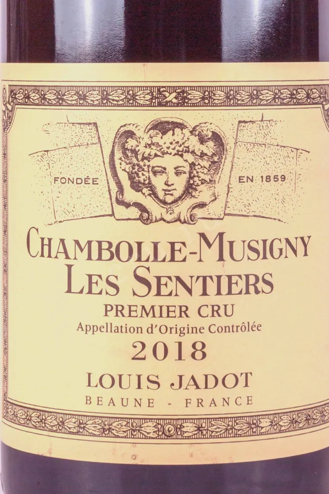 Этикетка Louis Jadot Chambolle-Musigny Premier Cru Les Sentiers 2018 0.75 л
