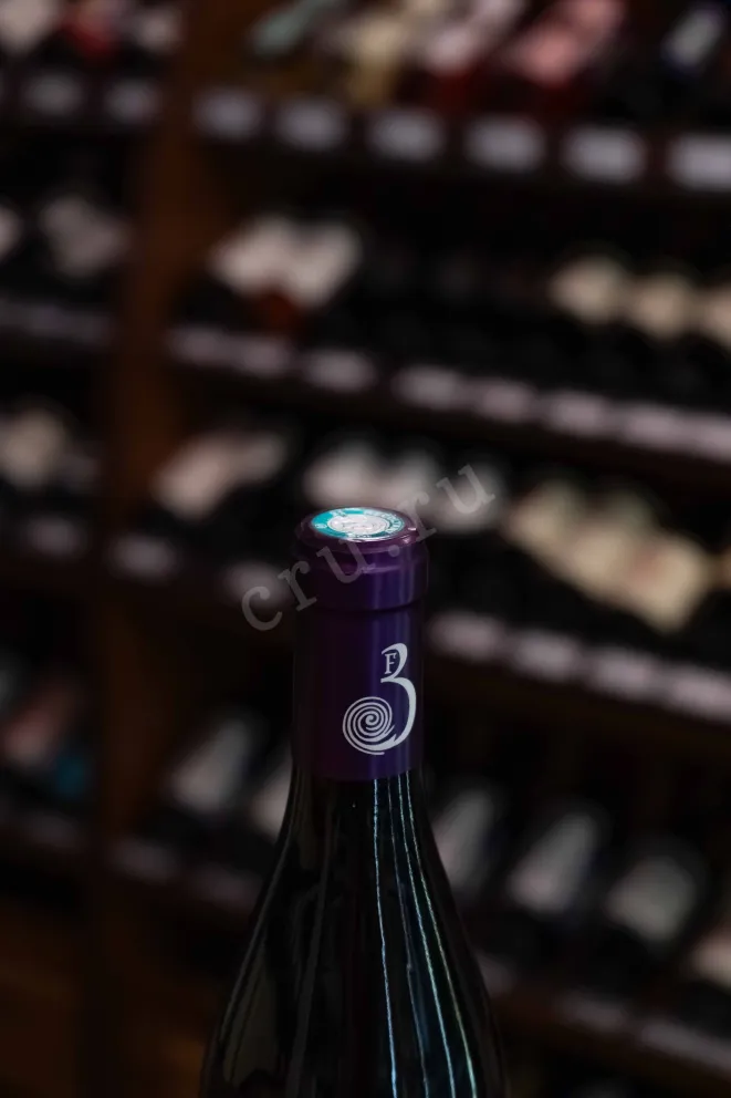 Пробка Domaine Ballorin & F Cote de Nuits Villages le Village 2022 0.75 л