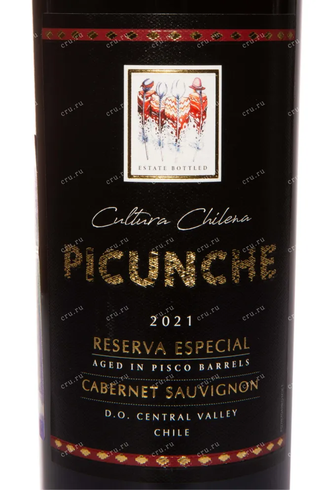 Этикетка Picunche Cabernet Sauvignon Reserva Especial Central Vallet DO 2021 0.75 л