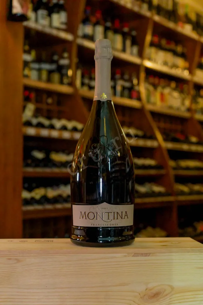 В магазине Крю Профи Montina Franciacorta Brut in gift box 2023 1.5 л