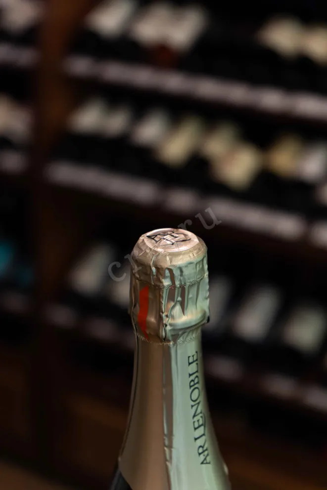 Пробка AR Lenoble Blanc de Noirs Bisseuil Premier Cru Brut Millesime gift box 2013 0.75 л