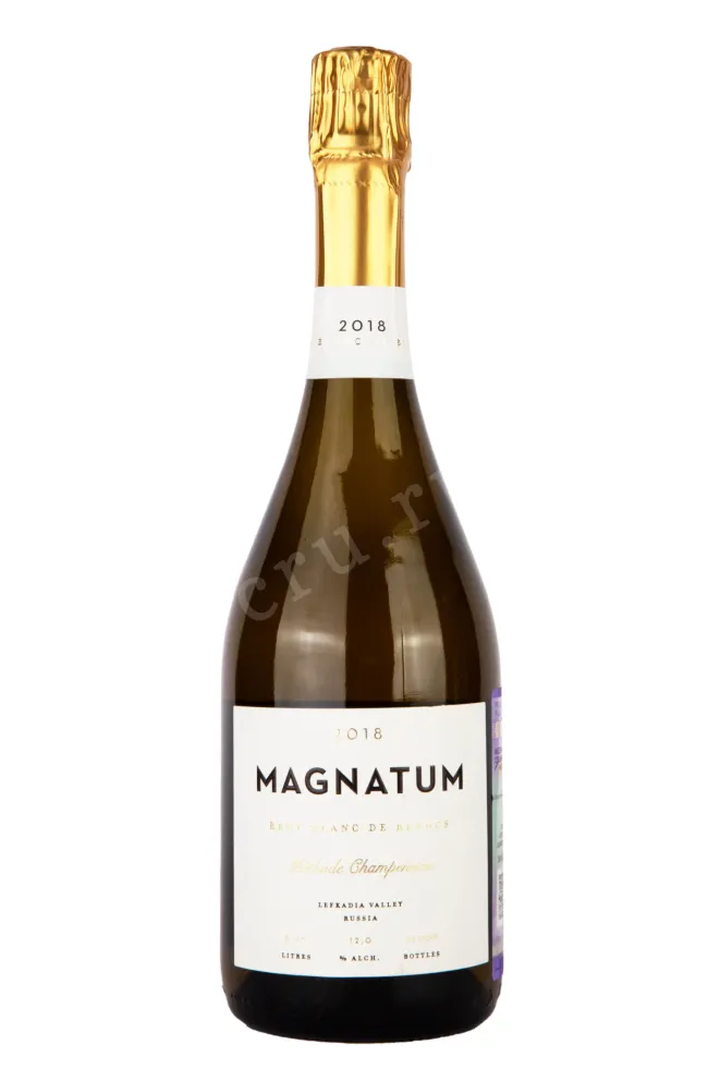 Игристое вино Магнатум Блан де Блан 2018 0.75 л