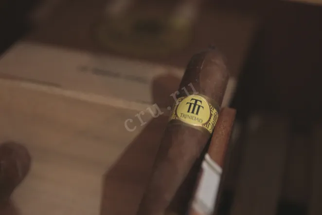 В магазине Крю Профи Trinidad Media Luna *12