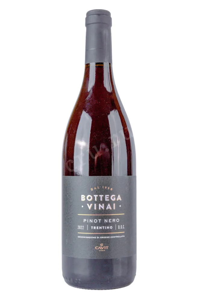 Вино Bottega Vinai Pinot Nero 2022 0.75 л