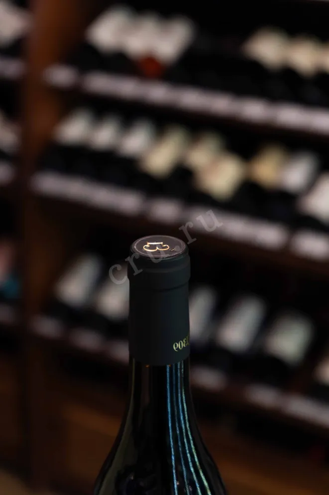 Пробка Josef Brigl 1309 Vigna Haselhof Pinot Noir Riserva 2020 0.75 л