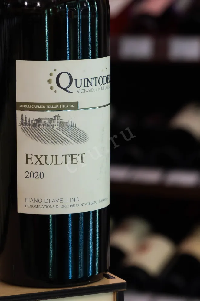 В магазине Крю Профи Quintodecimo Exultet Fiano di Avellino 2020 0.75 л