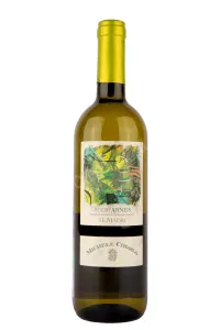 Вино Roero Arneis DOCG Le Madri 2021 0.75 л