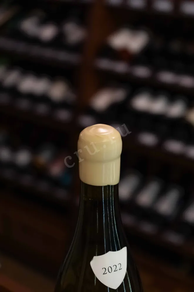Пробка Domaine Paul Pillot Bourgogne Aligote AOC 2022 0.75 л