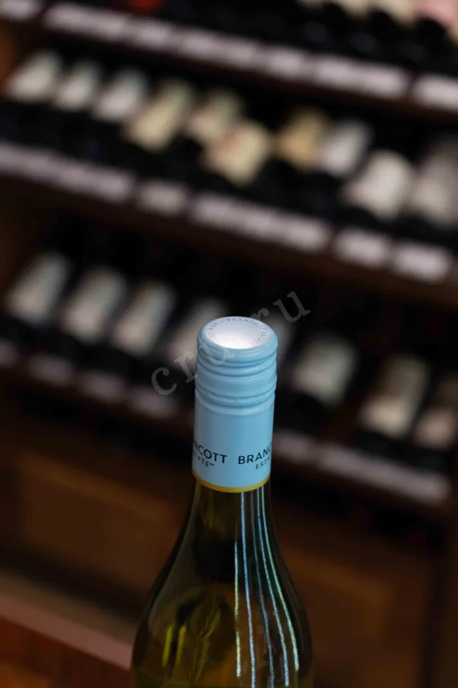 Пробка Brancott Estate Sauvignon Blanc Marlborough 2024 0.75 л