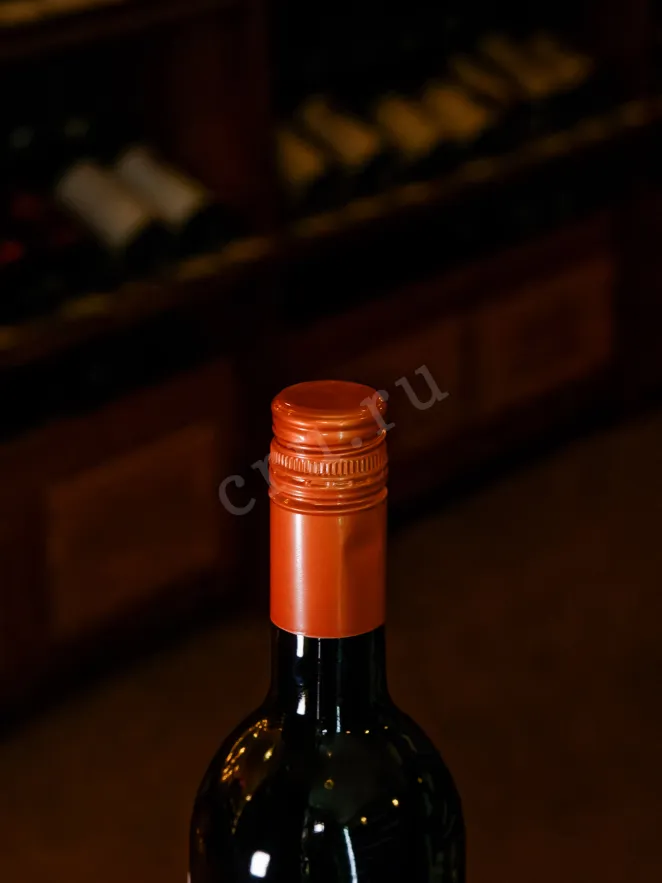Пробка The Collection The Bean Coffee Pinotage 2023 0.75 л