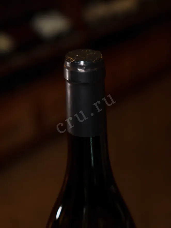 Пробка Thierry Germain L'Insolite Saumur 2019 0.75 л