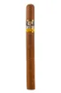 Сигары Cohiba Siglo V *15