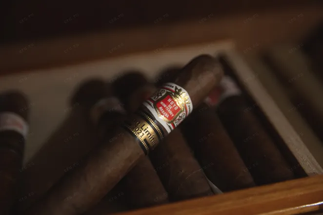 В магазине Крю Профи Hoyo de Monterrey Monterreyes №4 *10