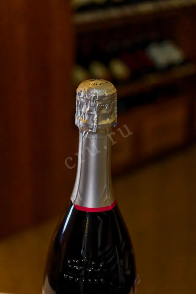 Пробка Le Contesse Prosecco Conegliano Valdobbiadene 2023 0.75 л