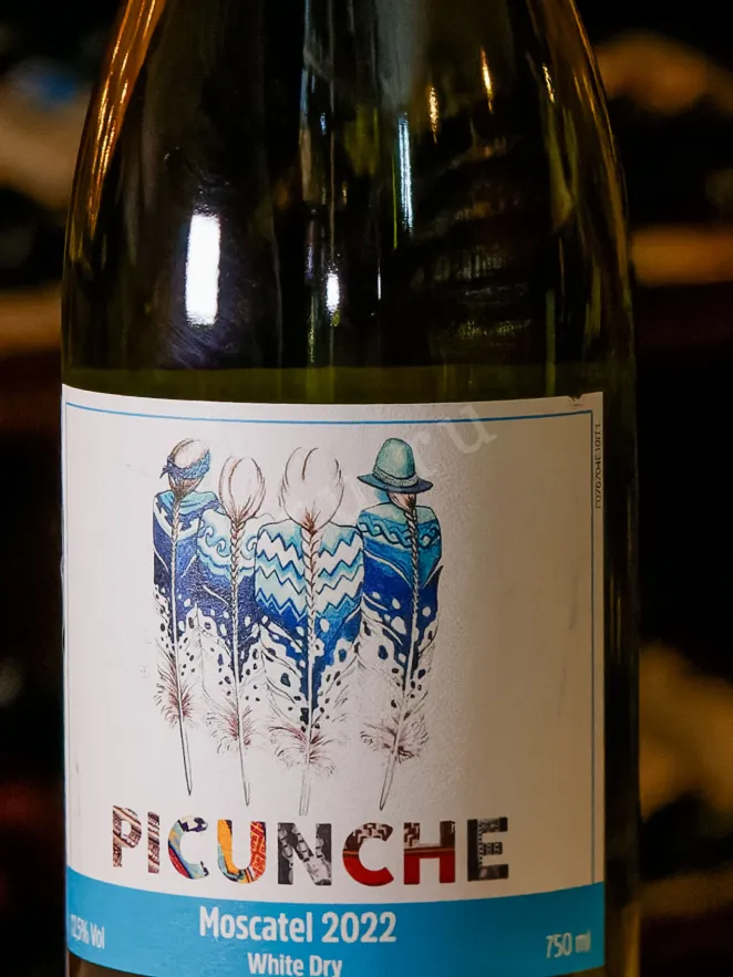 В магазине Крю Профи Picunche Moscatel Valle Del Itata 2022 0.75 л