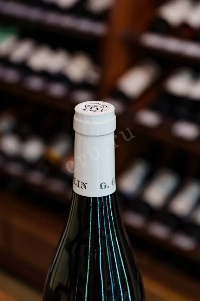 Пробка Gilles Gelin Bourgogne Pinot Noir 2022 0.75 л
