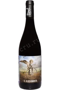 Вино Adegas Tollodouro El Ilusionista Joven Ribera del Duero 2024 0.75 л