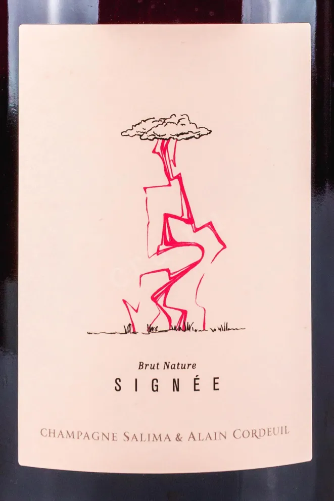 Этикетка Salima et Alain Cordeuil Saignee 2020 0.75 л