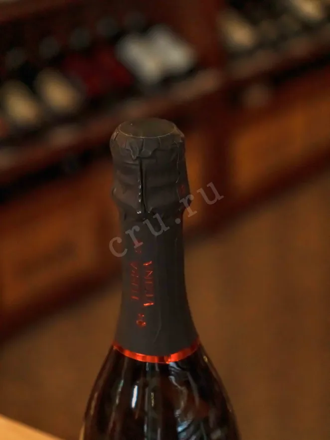 Пробка Terra Vizina Prosecco Superiore Conegliano Valdobbiadene Extra Dry 2023 0.75 л