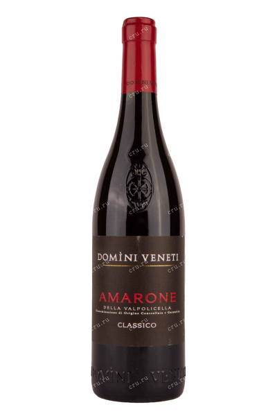 Вино Domini Veneti Amarone della Valpolicella Classico 2019 0.75 л