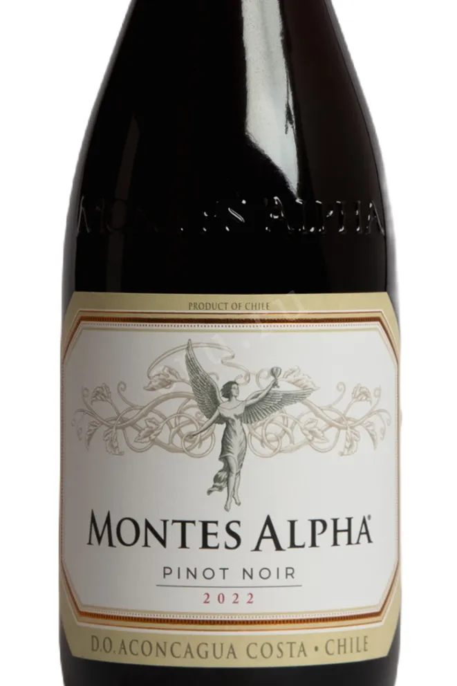 Этикетка Montes Alpha Pinot Noir DO 2022 0.75 л