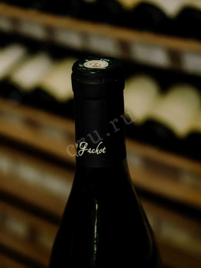 Пробка Domaine Bony Gachot Les Pruliers Rouge Nuits-Saint-Georgies 1er Cru AOC 2021 0.75 л