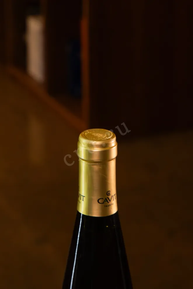 Пробка Mastri Vernacoli Gewurztraminer Trentino DOC 2023 0.75 л