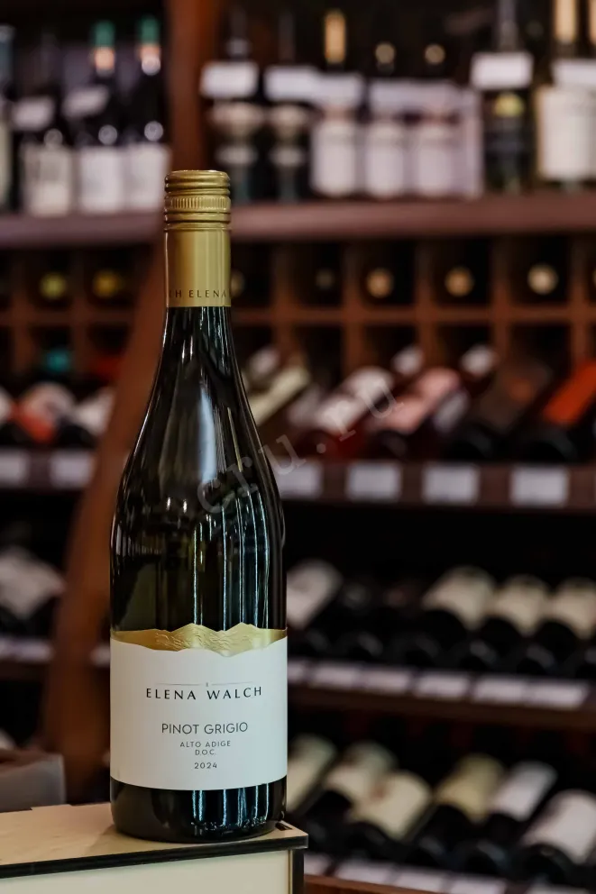 В магазине Крю Профи Elena Walch Pinot Grigio Alto Adige DOC 2024 0.75 л