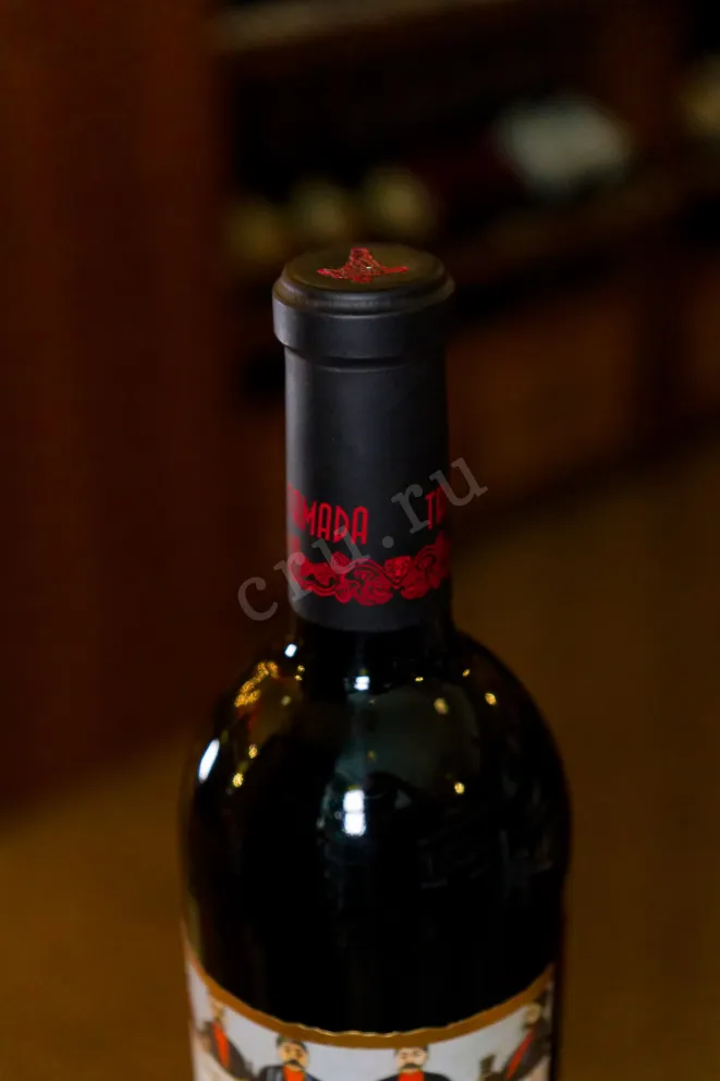 Пробка Tamada Qvevri Red Dry 2014 0.75 л