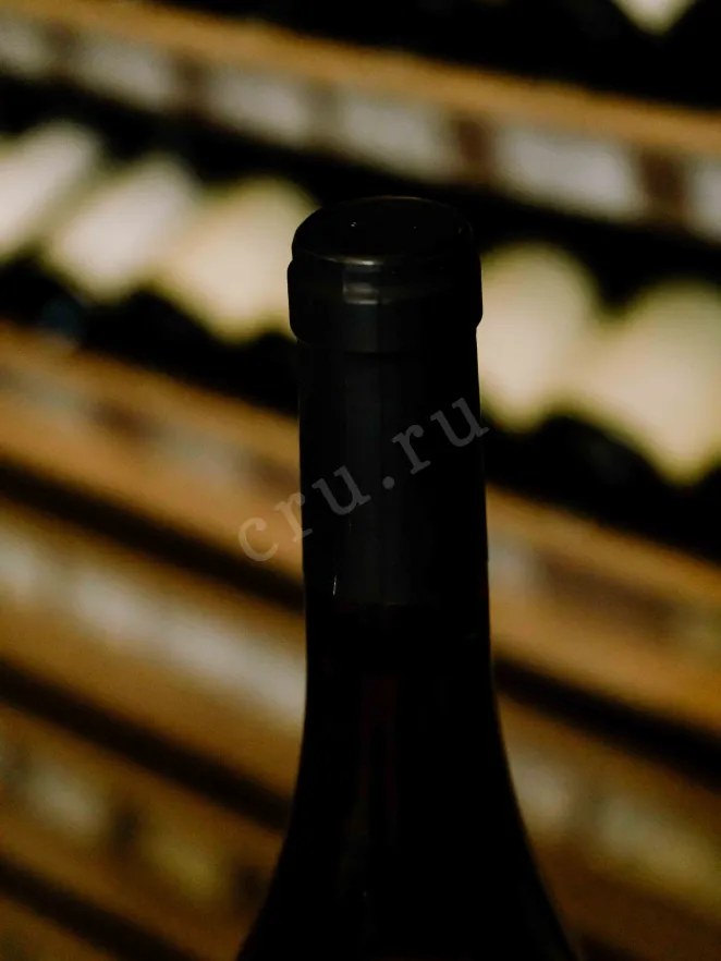 Пробка Santenay Premier Cru Fanny Sabre 2016 0.75 л