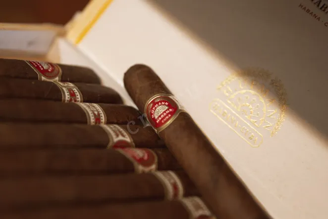 В магазине Крю Профи  H. Upmann Majestic *25