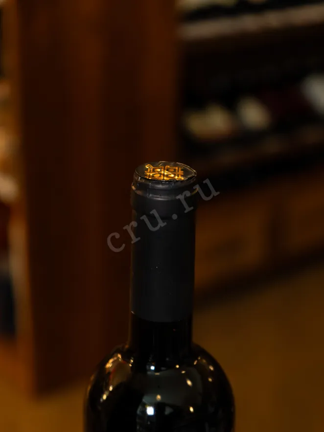 Пробка Sober Bash Trezvaia golova Cabernet Sauvignon 2022 0.75 л