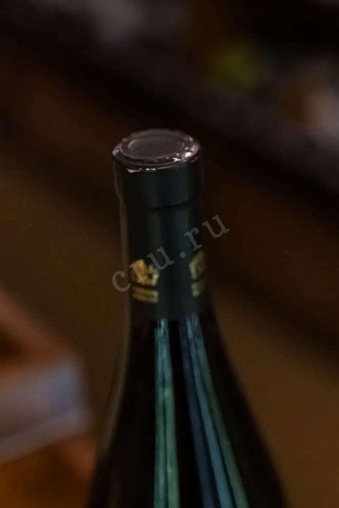 Пробка Dubinin Winery Saperavi Fresh 2022 0.75 л