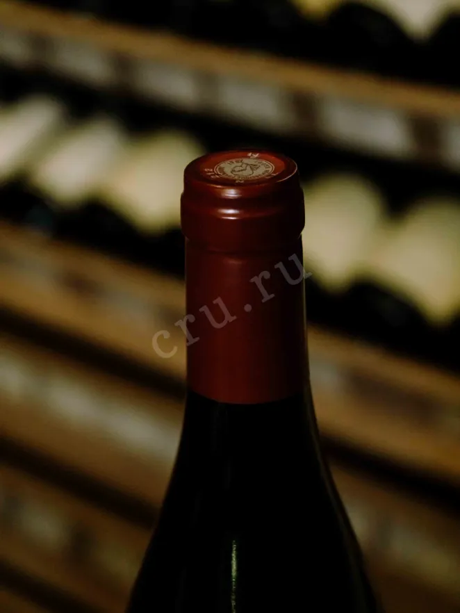 Пробка Frederic Esmonin Nuits-Saint-Georges Les Hauts Pruliers 2022 0.75 л