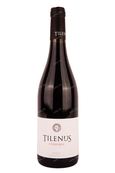 Вино Bodegas Estefania Tilenus Vendimia 2020 0.75 л
