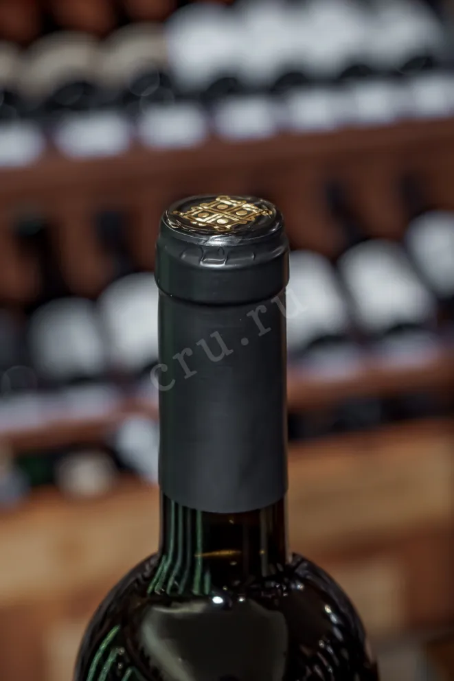 Пробка Sober Bash Trezvaia golova Cabernet Sauvignon-Cabernet Franc 2021 0.75 л
