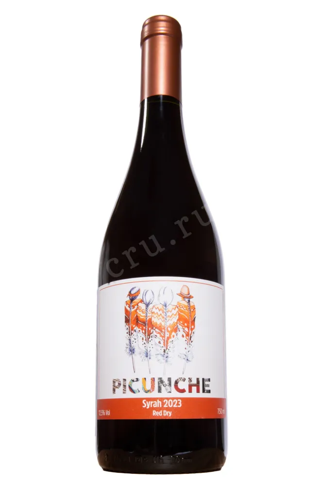 Вино Picunche Syrah Valley Central DO 2023 0.75 л