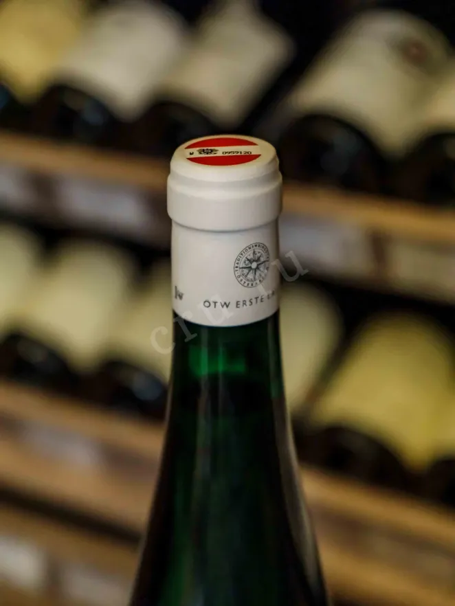 Пробка Weingut Brundlmayer Riesling Ried Steinmassl 10WT 2021 0.75 л
