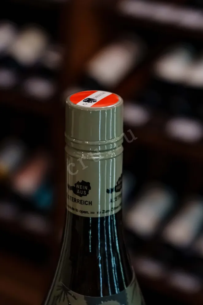 Пробка Weingut R&A Pfaffl Austrian Apple Gruner Veltliner 2024 0.75 л
