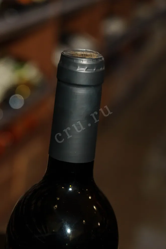 Пробка Sober Bash Cabernet Franc 2023 0.75 л