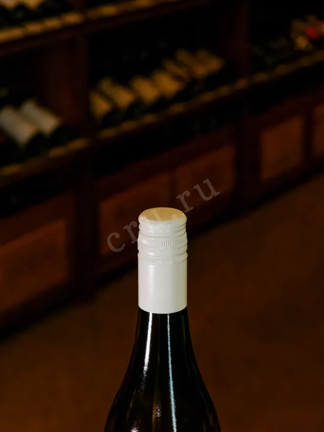 Пробка Wild Beast Rhinofly Sauvignon Blanc 2023 0.75 л